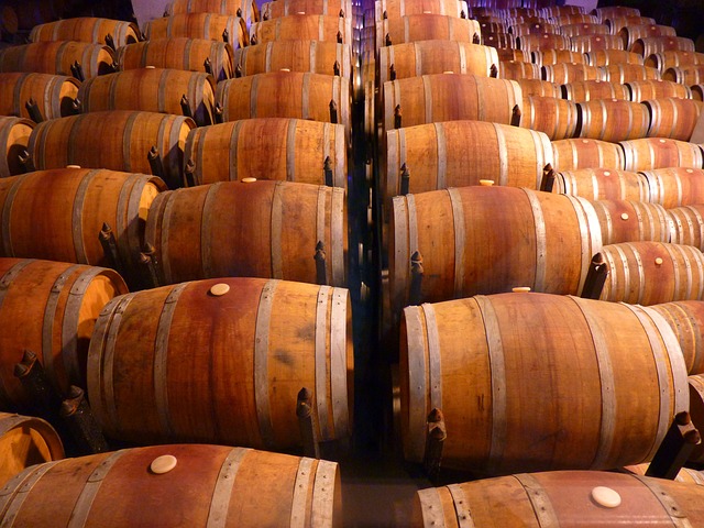 Chile Wine Regions Wine Barrels