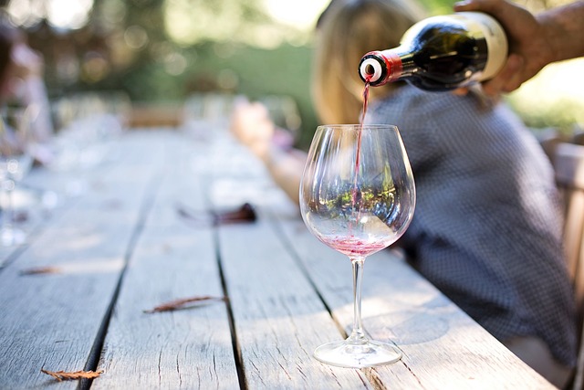 The Basics of Wine Tasting: A Guide for Beginners