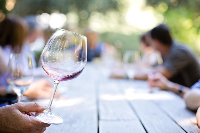 The Basics of Wine Tasting: A Guide for Beginners