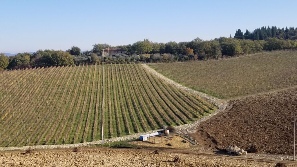 Wine Region in Tuscany Vineyard 